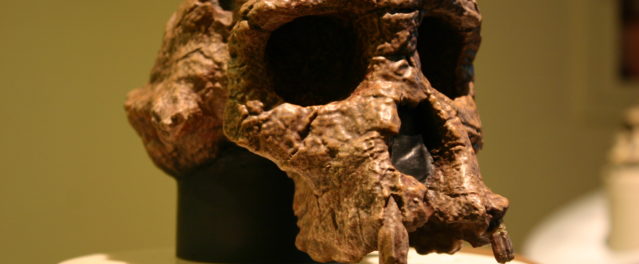 Five Key Points about Human Origins