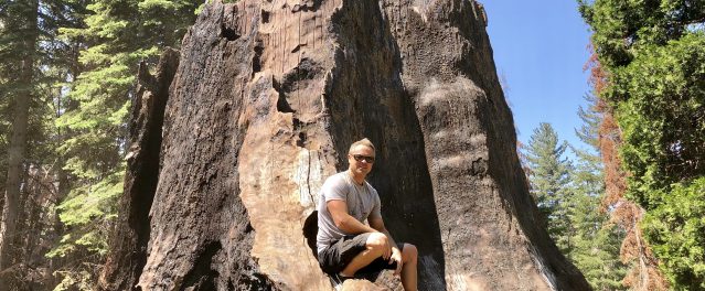 Seeing Is Not Always Believing: A Worldview Lesson from Sequoia Trees