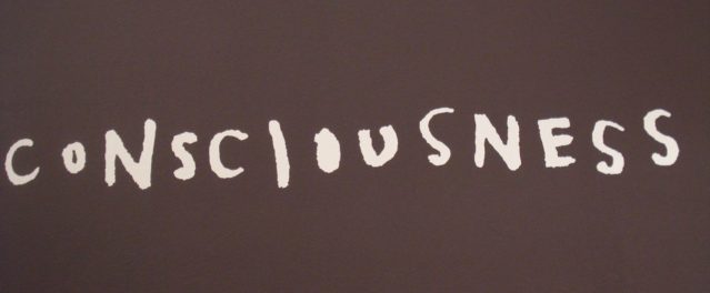 3 Failed Naturalistic Attempts at Explaining Consciousness