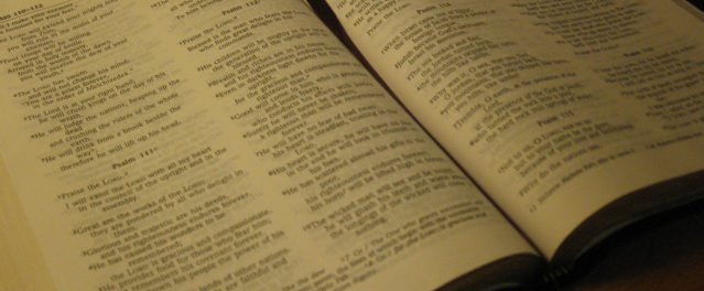 Humorous Bible Translation Errors…and What They Mean for Biblical Reliability
